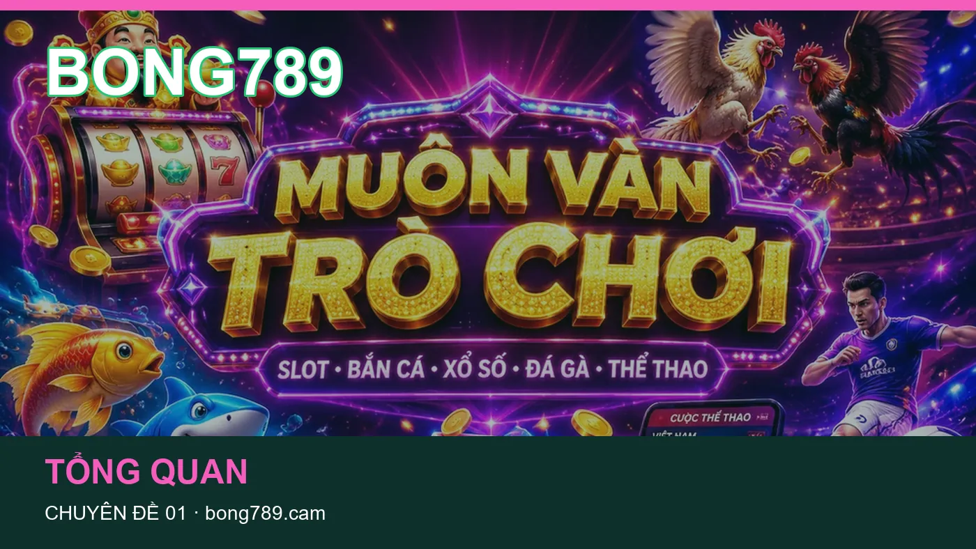Đối chiếu nguồn và thời điểm cập nhật trong Tài khoản của BONG789