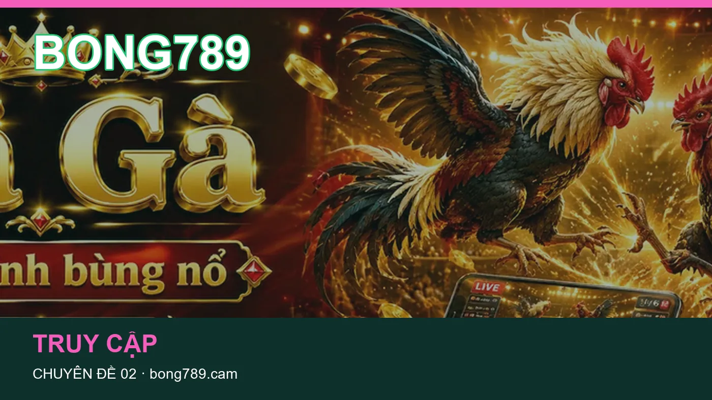 Trải nghiệm Tài khoản trên điện thoại cùng cẩm nang BONG789