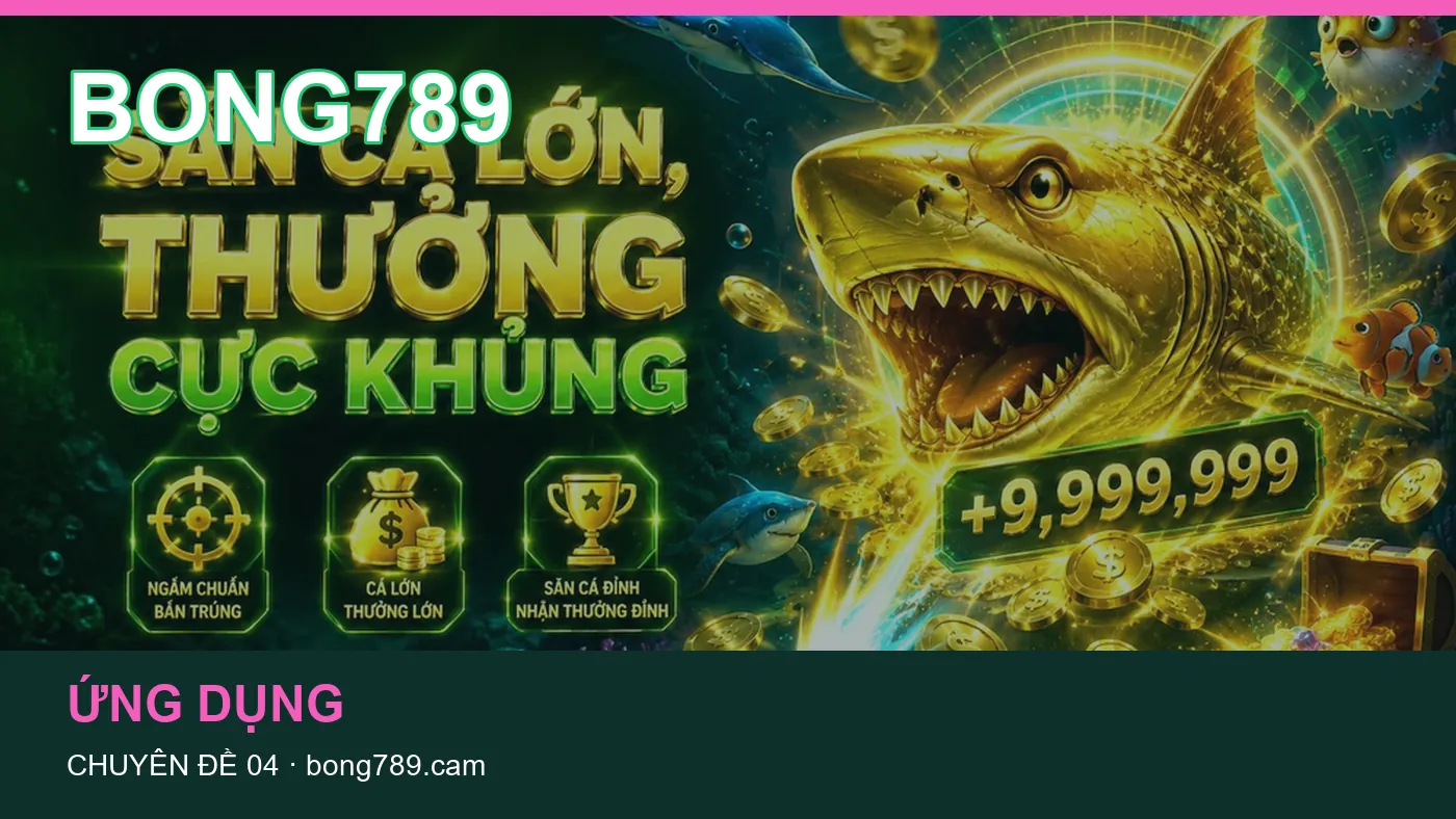 Hỗ trợ: những thuật ngữ cần hiểu khi tra cứu BONG789