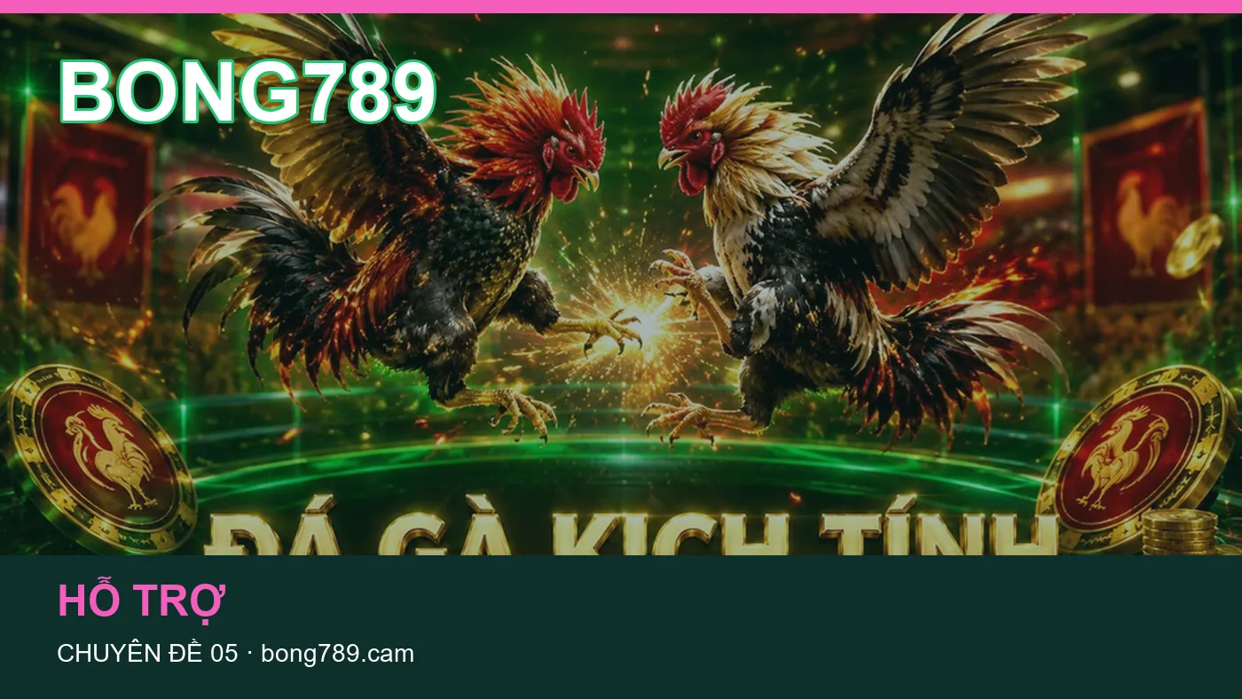 Danh sách kiểm tra thông tin Hỗ trợ dành cho người đọc BONG789